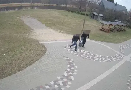 Carnikavā publiskā vietā spīdzināts gulbis; lieta nodota tiesai