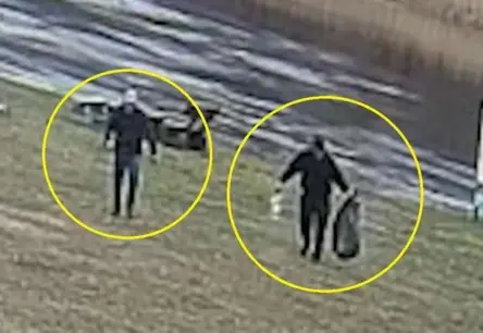 Carnikavas gulbja spīdzinātājiem draud cietumsods