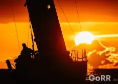 Cerību grozs? Lēto pārtikas produktu parādīšanās veikalos raisa jautājumus par ilgtspēju un patērētāju nākotni