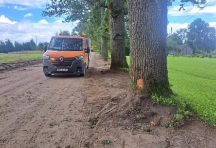 Cēsu novadā remontdarbu laikā bojāti vēsturiski ozoli, iedzīvotāji satraukti