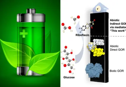 Dabas iedvesma enerģijai: Izveidota baterija, kas darbojas uz glikozes un vitamīna B2
