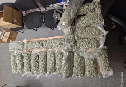 Daugavpilī atsavināti 36 kg marihuānas un 62 000 eiro; aizturēti divi vīrieši