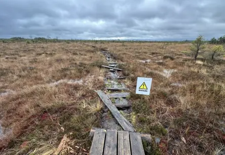 Dunikas purva taku atjauno trīs kilometru garumā; apmeklētājus aicina būt piesardzīgiem
