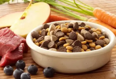 Eiropa atļauj laboratorijā audzētu gaļu mājdzīvnieku barībā