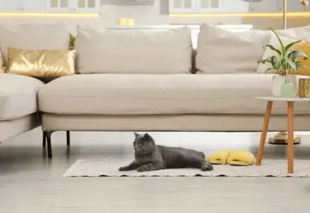 Eksperts brīdina: Zemo cenu īres mājokļu programma var radīt ilgtermiņa parādu slogu nodokļu maksātājiem