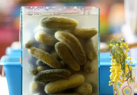 Fermentēšanas vieglā māksla: Kāpēc gurķi ir ideāls sākumpunkts veselības un garšas ceļojumā