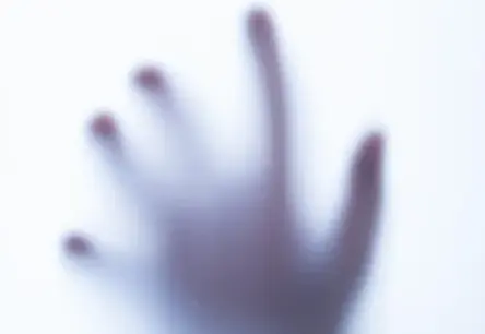 Floridas Matriarhe Donna Adelsone Notiesāta Mūža Ieslodzījumā par Bijušā Znota Slepkavības Pasūtīšanu