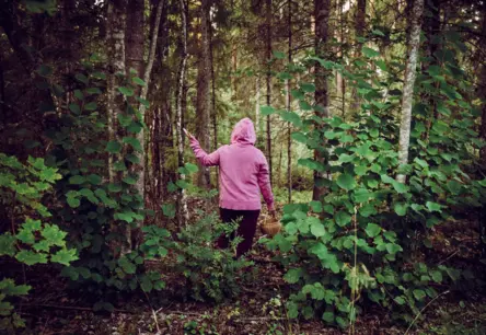 Glābēji steidzas palīgā Aizkrauklē un Ludzā: Meža vilinājums prasa modrību un sagatavotību