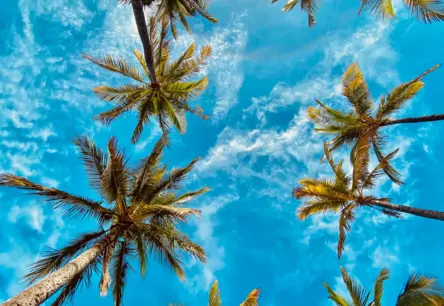 Horoskops sestdienai, 26. jūlijam: Mīlestības un radošuma pilna diena Lauvas sezonas zīmē