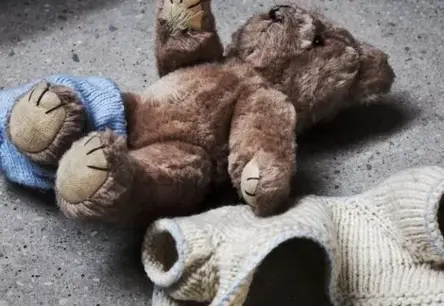 IDB Aiztur IeVP Amatpersonu par Bērnu Pornogrāfijas Apriti: Šokējošs Trieciens Valsts Pārvaldei