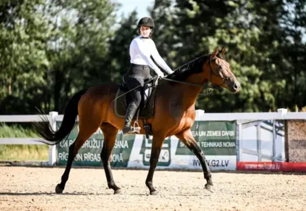 Inčukalnā XVII Vislatvijas Zirgu dienās noskaidros, kurš ir ātrāks – zirgs vai mocis