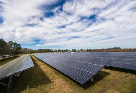 Japānā saules paneļi rīsu laukos – divkārtīgs ieguvums: elektrība un bagātīga raža