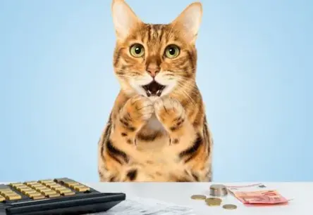 Jauna aviosatiksme starp Latviju un Saūda Arābiju paver plašas darba iespējas un ekonomiskās izaugsmes potenciālu