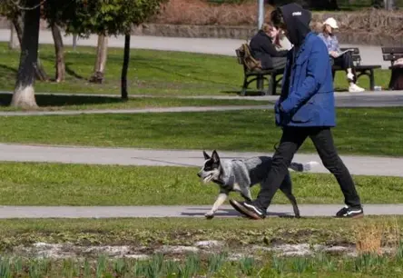 Jaunieši Latvijā: Augstākā izglītība un ilgāka dzīvošana pie vecākiem kā jauna norma