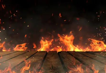 Jauniešiem Kurzemē piemērota probācijas uzraudzība par šķūņu dedzināšanu un suņa zādzību