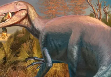 Jauns Gigantisks Plēsoņa: Argentīnā Atrastas 68 Miljonus Gadu Senas Megareptora Fosīlijas ar Pēdējo Maltīti Žokļos