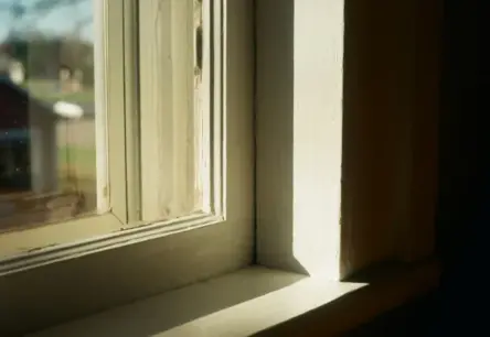 Kā novērst pelējumu un kondensātu: Pareiza vēdināšana rudenī un ziemā