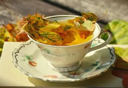 Kā stiprināt imunitāti rudens vīrusu sezonā: praktiski padomi veselībai