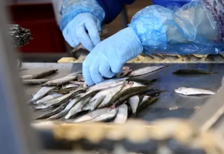 Kā vienkārši ikdienas ēdieni var pasargāt no Alcheimera slimības: ārstes ieteikumi