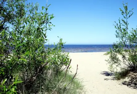 Karstās Debates par Latvijas Piekrasti: Vai Krasta Kāpās Sāksies Būvniecības Bums?