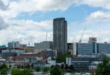 Ķīnas spiediens: Šefīldas Universitāte aptur pētījumus par uiguru cilvēktiesību pārkāpumiem