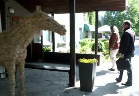 Kleistu Jāšanas Sporta Bāzes Pārņemšana IZM Nolemj: Dramatisks Strupcels un Neskaidrā Nākotne