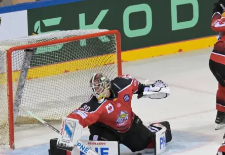 Kristers Gudļevskis kā mūris "Fischtown Pinguins" vārtos IIHF Čempionu līgas uzvarā