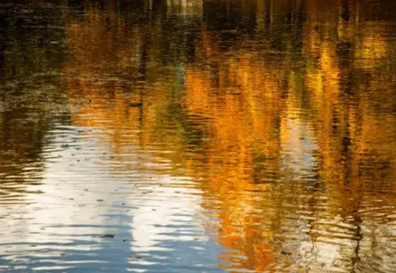 Kurzemē šodien būs vissiltākais laiks: prognozes Latvijai oktobra vidū