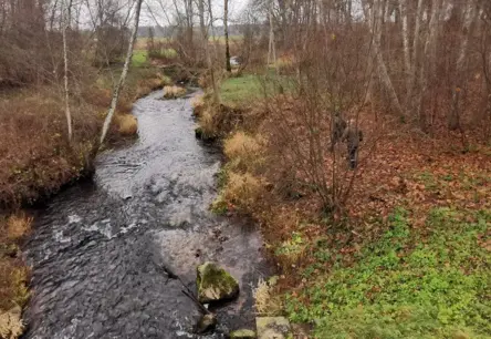 Lašveidīgo zivju nārsta laikā šoruden novērots zemāks maluzvejniecības līmenis