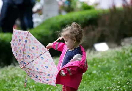 Latvijā Atdziest Vasaras Sirds: Trešdiena Atnes Vēju, Lietu un Pārdomas par Mainīgajiem Laikapstākļiem