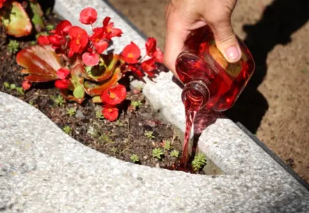 Latvija aicina ES ieviest kopīgus pasākumus alkohola patēriņa samazināšanai