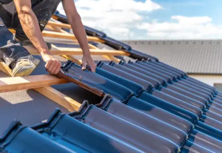 Latvijā piedzīvo koka karkasa māju uzplaukumu: ātrums, energoefektivitāte un ilgtspēja triumfē pār mūri