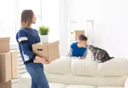 Latvija sper izšķirošu soli datu ticamības stiprināšanā: jauni noteikumi dzīvesvietas deklarēšanā