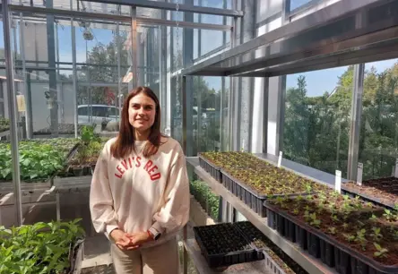 Latvijas Zinātnieku Sensācija: Asinszāle – Neatsverams E Vitamīna Lobumu Avots Vietējai Industrijai