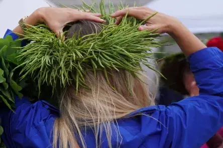 Latvijas iedzīvotāji maina Jāņu tradīcijas: Mierīgas svinības mājās pret lauku burvību