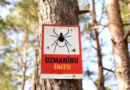 Latviju Pārņem Jauns Bīstams Ienaidnieks: Ornamentētā Pļavērce maina ērču sezonas noteikumus