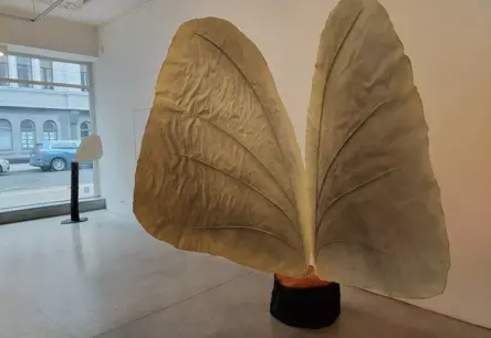 Liene Mackus personālizstādē "Silta pļava" aicina izbaudīt dabas tēlniecisko poēziju galerijā "Māksla XO"