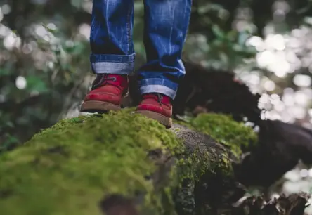 Liepājā Vardarbības Dēļ No Ģimenes Izņem Divus Mazākos Bērnus Pēc 13 Gadu Vecā Zēna Traumatiskās Pieredzes