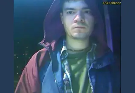 Ludzas novadā izdarīta noziedzīgs nodarījums; policija meklē attēlā redzamo vīrieti