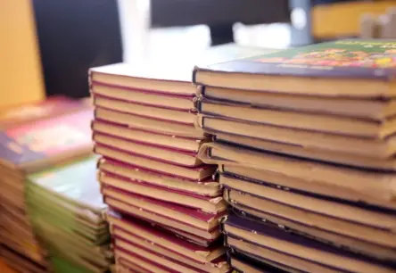 Mācību grāmatu nodrošinājums: vai valsts piešķirtie 52 eiro ir pietiekami, ja reālās izmaksas sasniedz 106 eiro?