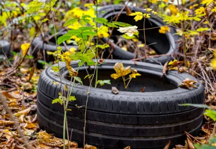Mežu piesārņojums turpina augt: cik dārgi izmaksā atkritumu izmešana dabā?
