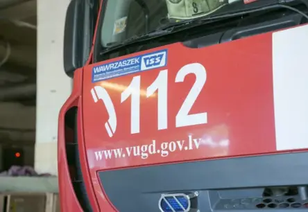 Milzīgs koks paralizē satiksmi Rīgas centrā: Atgādinājums par dabas spēku pilsētvidē