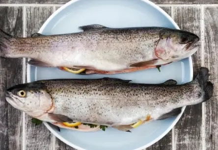 Mīts par jūras veltņu piesārņojumu: zinātnieki skaidro, kur patiesībā slēpjas mikroplastmasas draudi