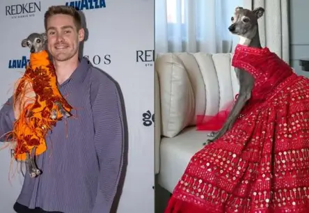 Modei un stilam veltītā suņu zvaigzne Tika the Iggy mirusi 14 gadu vecumā