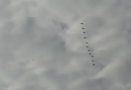 Mūžībā aizgājis Atmodas aktīvists un Daugavpils Universitātes docētājs Igors Leitāns