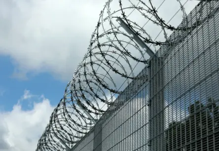 NATO misija "Austrumu sardze": inovācijas un tehnoloģijas dronu draudu atvairīšanā