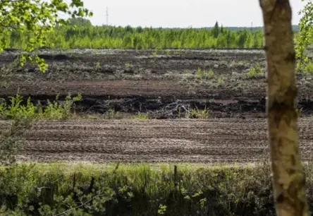 NBS atbalsta kūdras vietu atjaunošanu austrumu pierobežā kā stratēģisku aizsardzības elementu