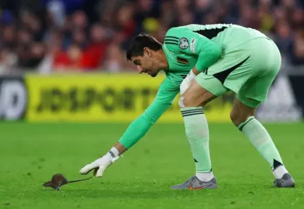 Neaicinātais Viesis: Žurka Pārtrauc Velsas un Beļģijas Futbola Spēli