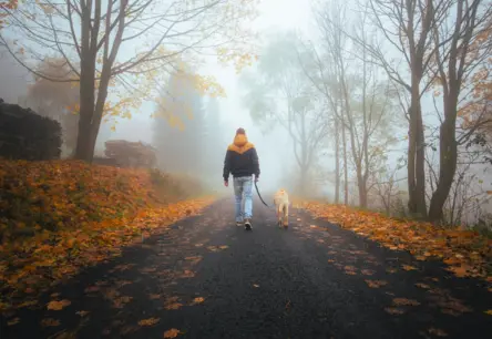 Nedēļas nogalē Latvijā valdīs bieza mākoņu sega un veidosies migla