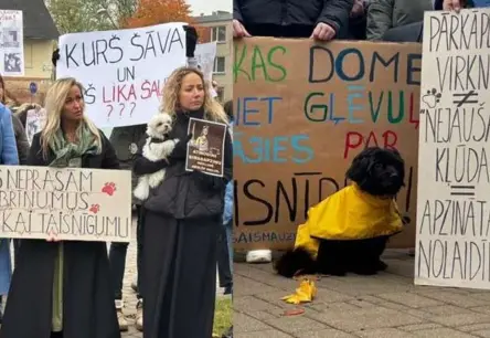 “Neesiet gļēvuļi!” Bauskā desmitiem cilvēku piketā pieprasa taisnīgumu Modra suņu nošaušanas lietā
